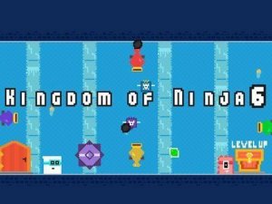 Kingdom of Ninja 6: Lava Dungeon Survival