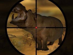 Wildlife Care Precision Game