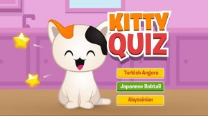 Kitty Quiz Online Game