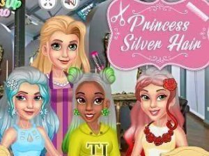 Princess Silver Hairstyles Online Game