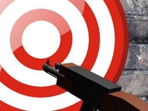 Target Hunt Shooting Game