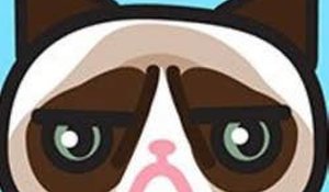 Which Meme Cat Are You? - Fun Personality Quiz Game